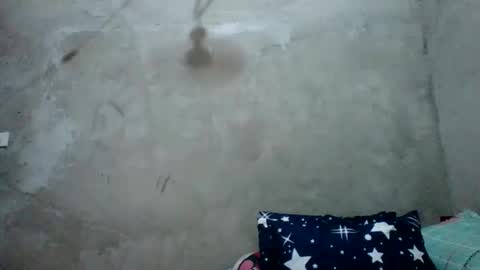 juliett online show from February 27, 2026, 6:57 am