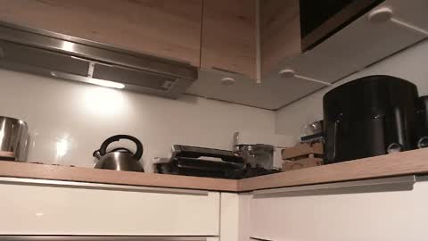 Gregor online show from December 28, 2024, 9:20 am