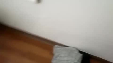 manolito online show from January 1, 2025, 6:15 am