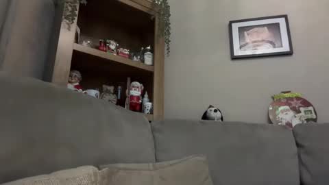 Snapshot of junky345 chatting on December 13, 2024, 7:21 pm Junky online show from December 13, 2024, 7:21 pm