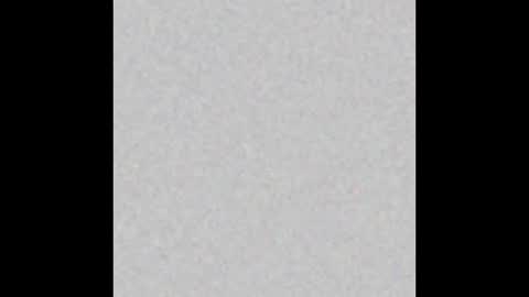 juriibigboss online show from October 3, 2025, 5:43 pm