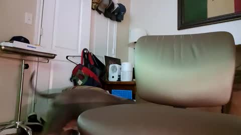 just4fun1523 online show from January 9, 2026, 2:14 am