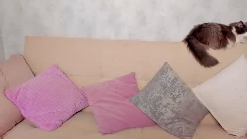 Snapshot of just_alex__ chatting on June 24, 2026, 1:15 am Alex Alexandra online show from June 24, 2026, 1:15 am