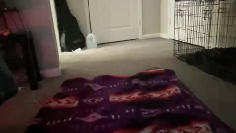 JustinCase online show from March 14, 2026, 10:42 am