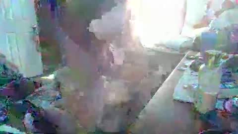 Snapshot of justintyme911128278 chatting on March 19, 2026, 8:35 pm justintyme911128278 online show from March 19, 2026, 8:35 pm