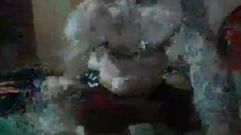 justjay222222222 online show from April 7, 2026, 5:41 am