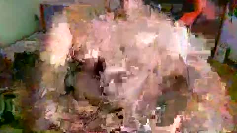 juteja online show from September 16, 2025, 9:16 pm