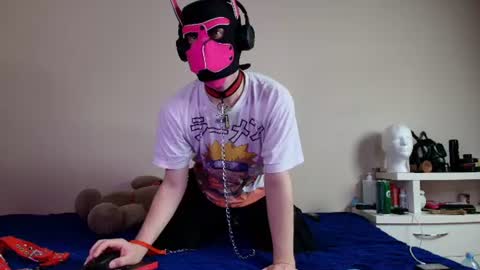 Snapshot of k9_goodboy chatting on June 12, 2026, 5:34 pm Alex online show from June 12, 2026, 5:34 pm