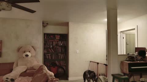 Kailee Smile online show from November 27, 2025, 4:58 am