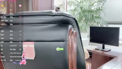 Kaixin online show from June 13, 2026, 1:58 am