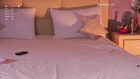 Kamelllya online show from February 2, 2025, 8:35 am