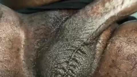 Snookie online show from December 4, 2024, 9:40 am