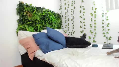 Karlye online show from February 9, 2025, 5:54 pm