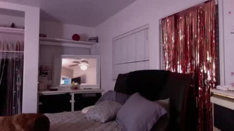 sexykat online show from October 7, 2025, 7:38 am
