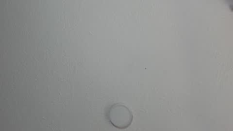 love meeee online show from January 17, 2025, 3:32 pm