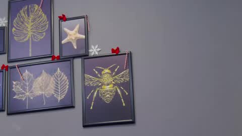 Kate online show from December 17, 2024, 12:23 am