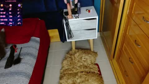 Snapshot of katty_berry_ chatting on December 2, 2024, 7:38 pm Arianna online show from December 2, 2024, 7:38 pm