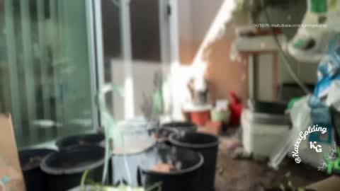 Princesse Kat  online show from April 18, 2026, 10:21 pm