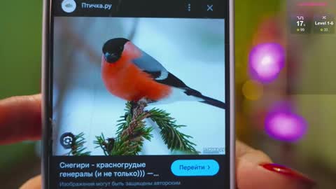 Katy      -    online show from February 21, 2025, 2:39 am