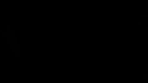 trannyblacklatinhot online show from January 10, 2025, 9:31 pm