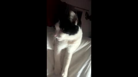 kay_la online show from October 4, 2025, 10:13 am