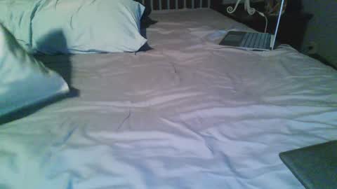 Sub online show from February 8, 2025, 8:20 am