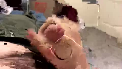 keegandaddy4200 online show from January 11, 2026, 6:07 am