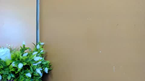 keisy_sanchez online show from January 6, 2026, 11:14 am