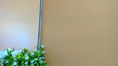 keisy_sanchez online show from January 17, 2026, 11:04 am