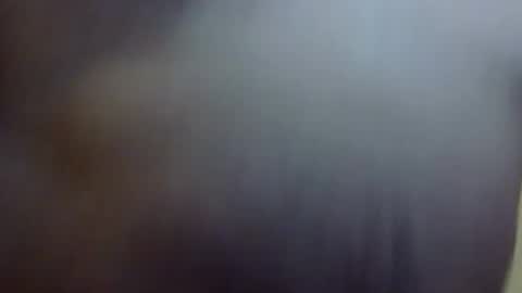 kenwoodsquirrel online show from June 4, 2026, 8:53 am