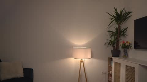 Kevin online show from January 3, 2025, 11:46 am