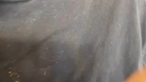 Snapshot of kevinevans448 chatting on September 9, 2025, 8:30 pm kevinevans448 online show from September 9, 2025, 8:30 pm