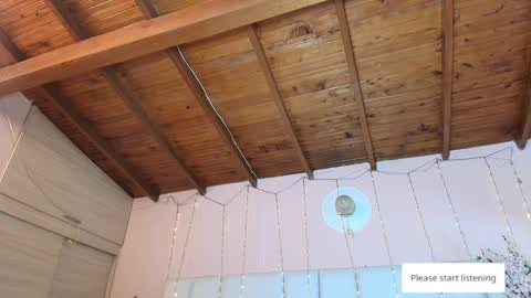    N         M online show from January 27, 2025, 11:32 am