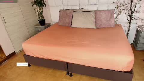    N         M online show from February 26, 2025, 11:30 am