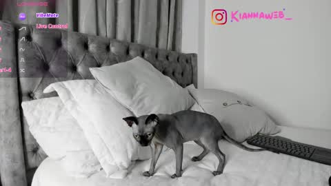 Snapshot of kiianna__ chatting on February 28, 2025, 3:48 am INSTAGRAM Kiannaweb online show from February 28, 2025, 3:48 am