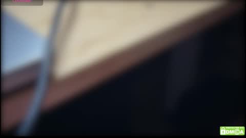 kik online show from February 21, 2026, 5:03 pm