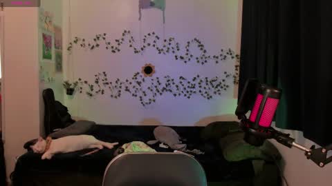 Snapshot of kila_moonlight444 chatting on June 17, 2026, 10:54 pm Bella online show from June 17, 2026, 10:54 pm