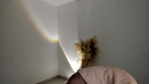 Kim Murphy online show from November 18, 2025, 12:31 pm