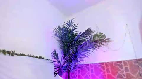 Snapshot of kimberly_gonzalez1 chatting on December 3, 2024, 9:33 am kimberly gonzalez online show from December 3, 2024, 9:33 am