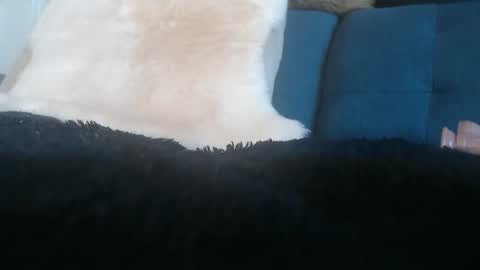 Snapshot of kimberlyfaysantana chatting on May 11, 2026, 4:04 pm Kimber online show from May 11, 2026, 4:04 pm