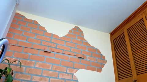 king_meruem online show from February 21, 2026, 6:53 pm