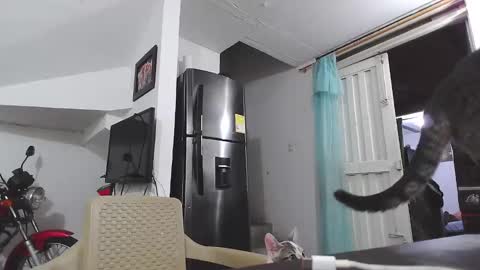 king_russo online show from January 17, 2025, 3:12 am