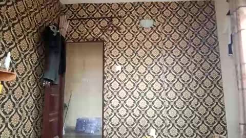 Snapshot of kingemizzy chatting on February 3, 2026, 8:08 am kingemizzy online show from February 3, 2026, 8:08 am