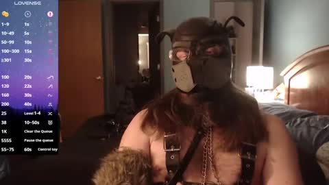 kinkywolf87 online show from February 2, 2025, 8:24 am