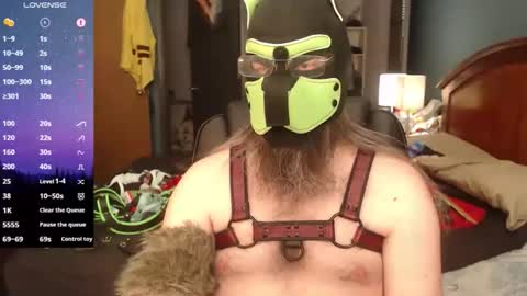 kinkywolf87 online show from May 15, 2026, 9:22 pm
