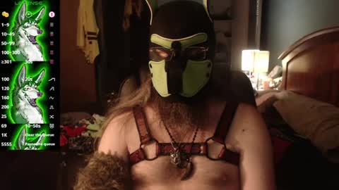 kinkywolf87 online show from July 18, 2026, 3:00 am