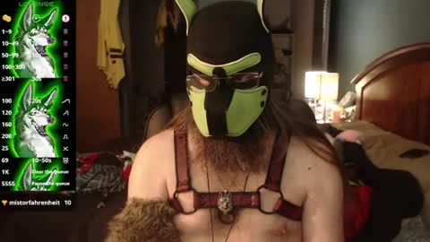 kinkywolf87 online show from July 20, 2026, 3:47 pm