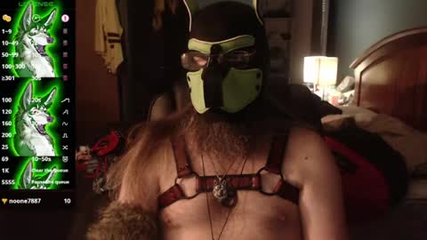 kinkywolf87 online show from July 24, 2026, 4:43 am