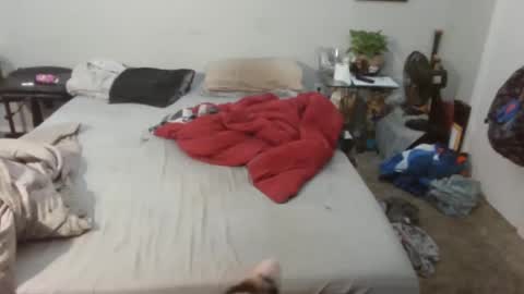 Kitten and rebellious online show from February 20, 2025, 4:57 pm