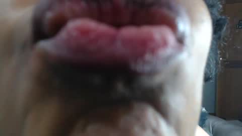 kitty online show from January 23, 2025, 3:48 am